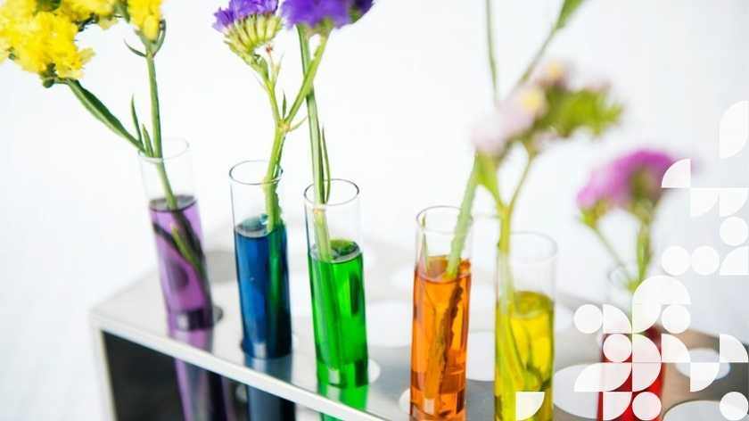 La force de l'intention à Montréal