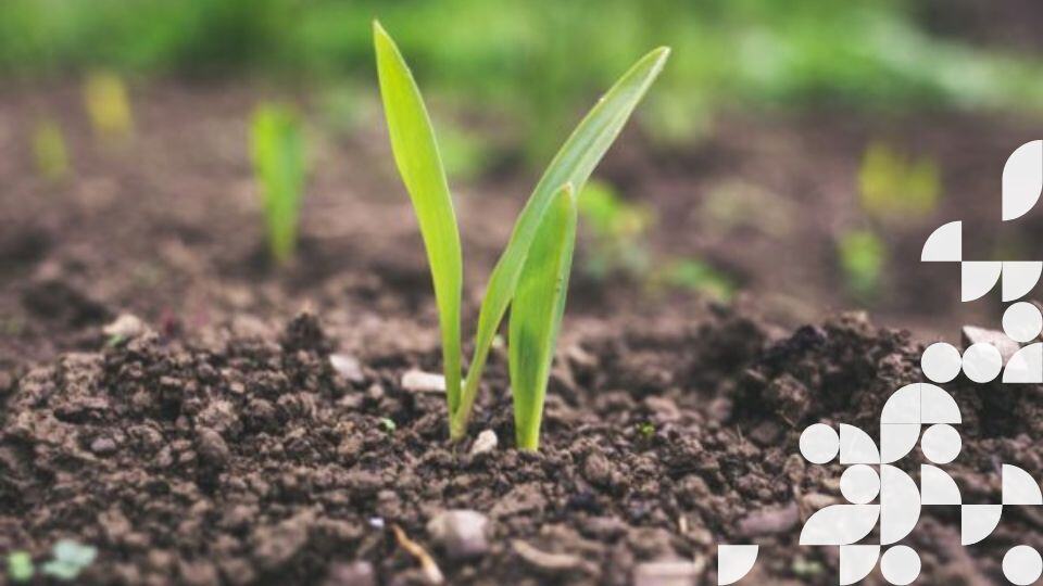 cas client - transformation-agile-dsi